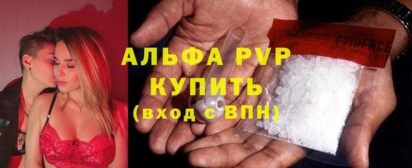 PSILOCYBIN Дмитриев