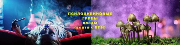 PSILOCYBIN Дмитриев
