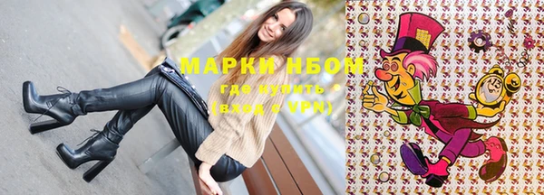 PSILOCYBIN Дмитриев