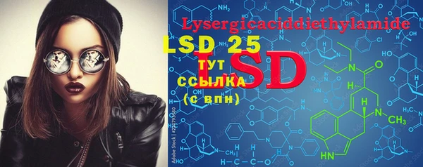 PSILOCYBIN Дмитриев