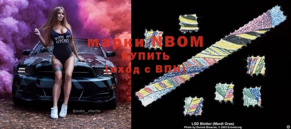 PSILOCYBIN Дмитриев