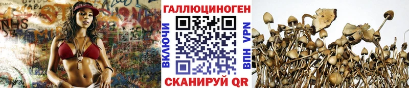 Псилоцибиновые грибы GOLDEN TEACHER  Купить закладки  Ершов 